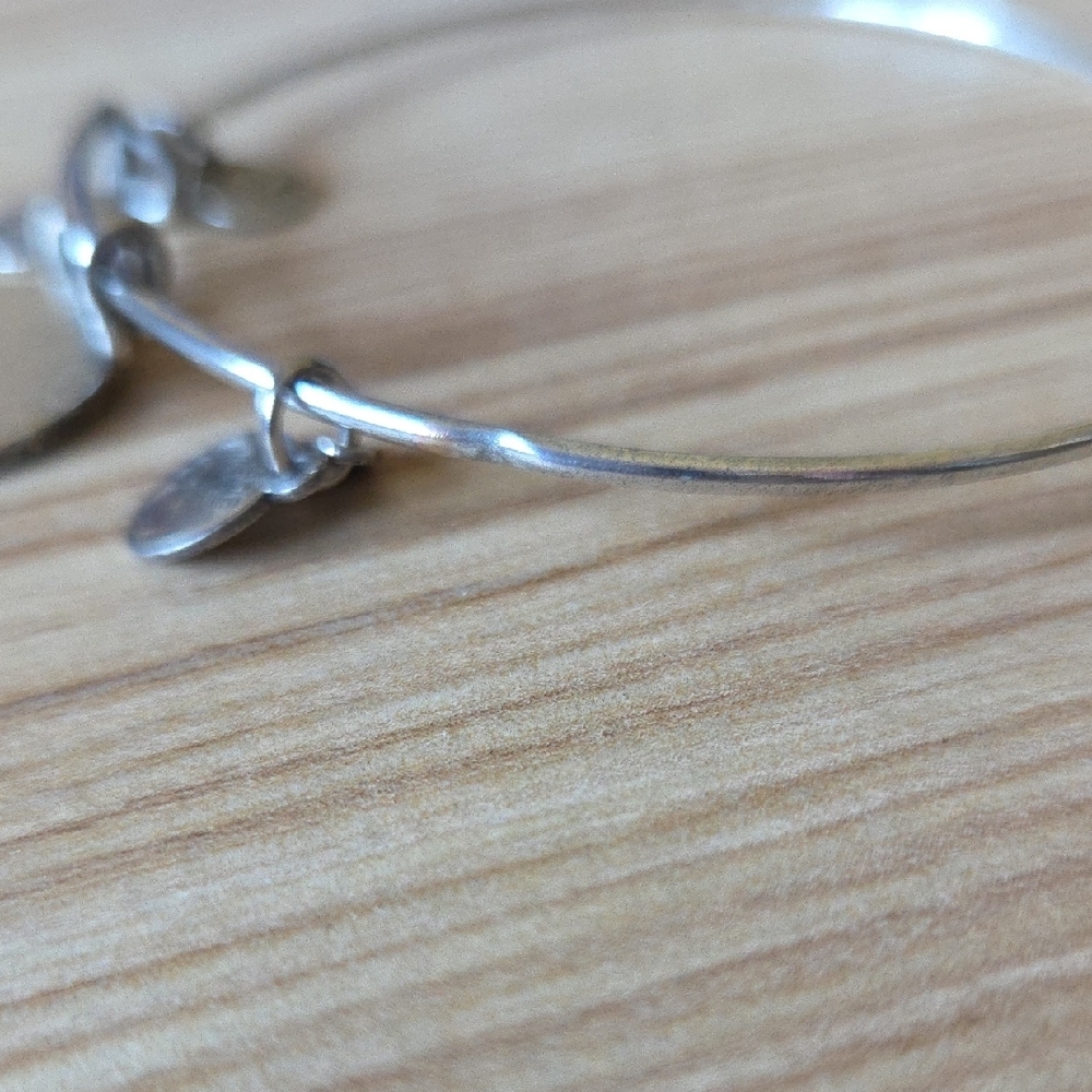 Alex and Ani Silver Lotus 2012 Charm Bangle Bracelet - Picture 8 of 8